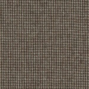 Light Brown Hairline