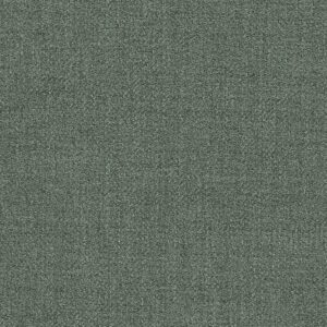 Light Grey Solid