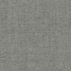 Light Grey Solid