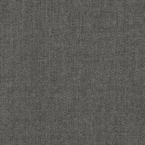 Light Gray Solid