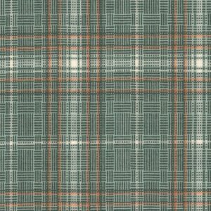 Seafoam/Orange Grid Check (Plaid) Fancy