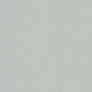 Light Grey Solid